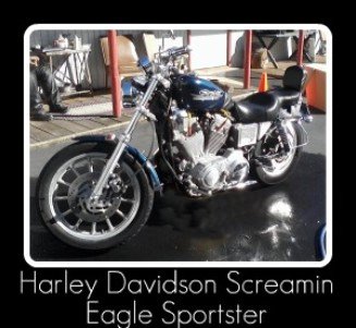 Harley Davidson Screamin Eagle Sportster detailed by Fifty Dollar Detail, Ridgefield, WA.